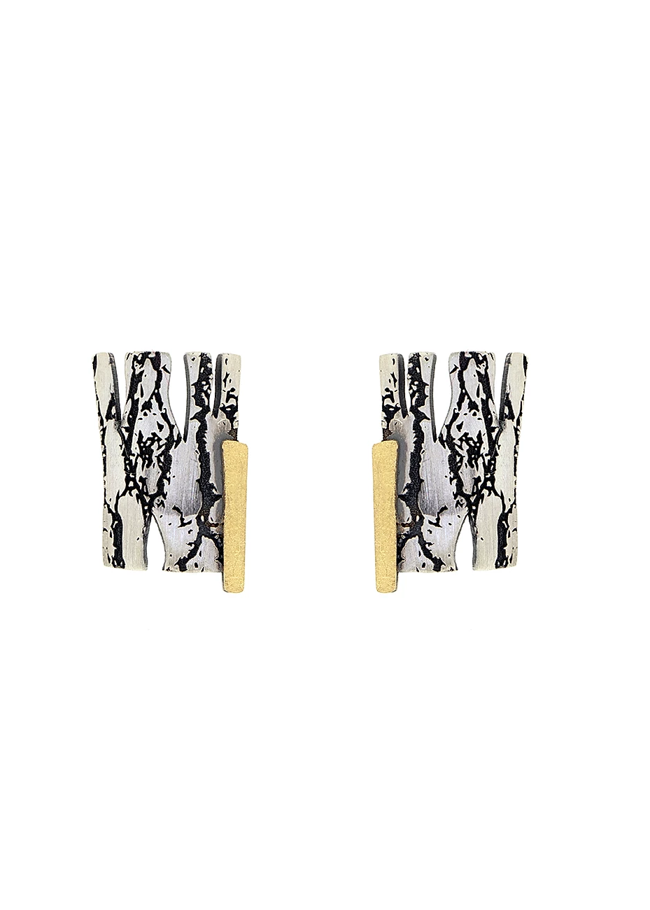 Pendientes oro y plata
