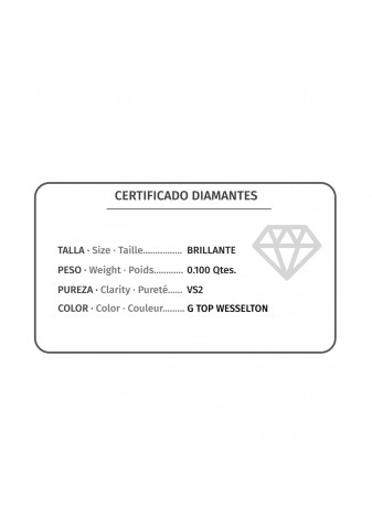 Pendientes oro blanco y diamantes 0,10