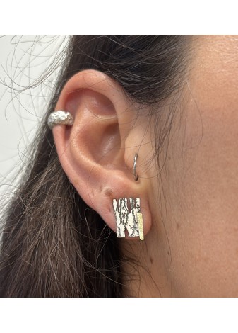 Pendientes de plata y oro amarillo